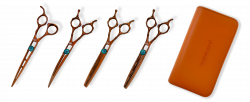 Zayani Bronze Premium Light Set